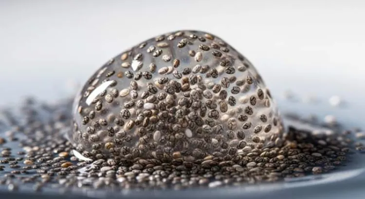 chia-tohumlarinin-tokluk-ve-glikoz-yavaslatma-etkisi.jpg