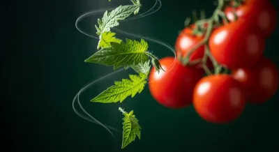 Domates Yaprağı: Mutfakta 7 Bilinmeyen Kullanım Sırrı! 🌿