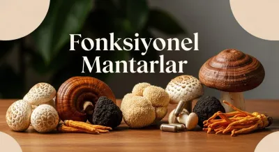 Fonksiyonel Mantarların 5 Gizli Gücü ✨