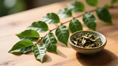 Gurmar Bitkisi (Gymnema Sylvestre) Faydaları ve Yan Etkileri