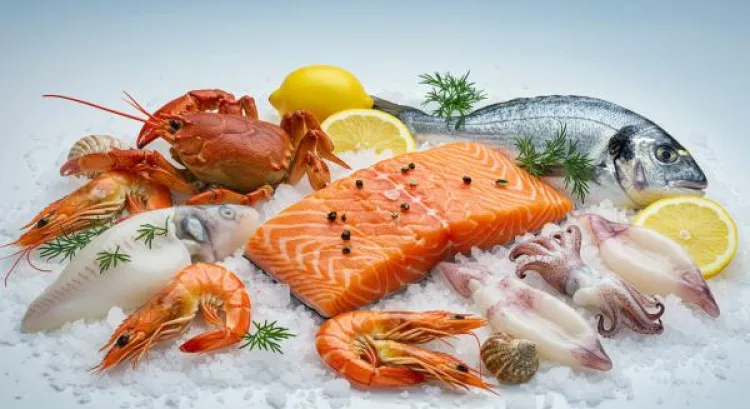 hyaluronik asit deniz urunleri ve balik cesitleri