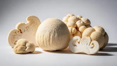 Lion's Mane ve Zihin Netliği: Beyin Sisi ve Odaklanma
