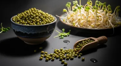 Sağlıklı Tabaklara Maş Fasulyesi: Bilgi & Kullanım Alanları