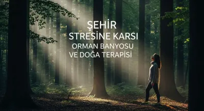 Şehir Stresine Karşı Orman Banyosu ve Doğa Terapisi