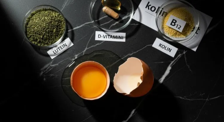 yumurta vitamin goz sagligi kompozisyon